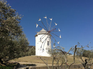 オリーブ公園にあった風車